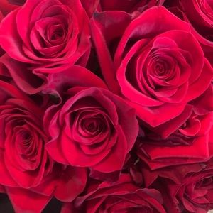 Meet your Posher, Amy l